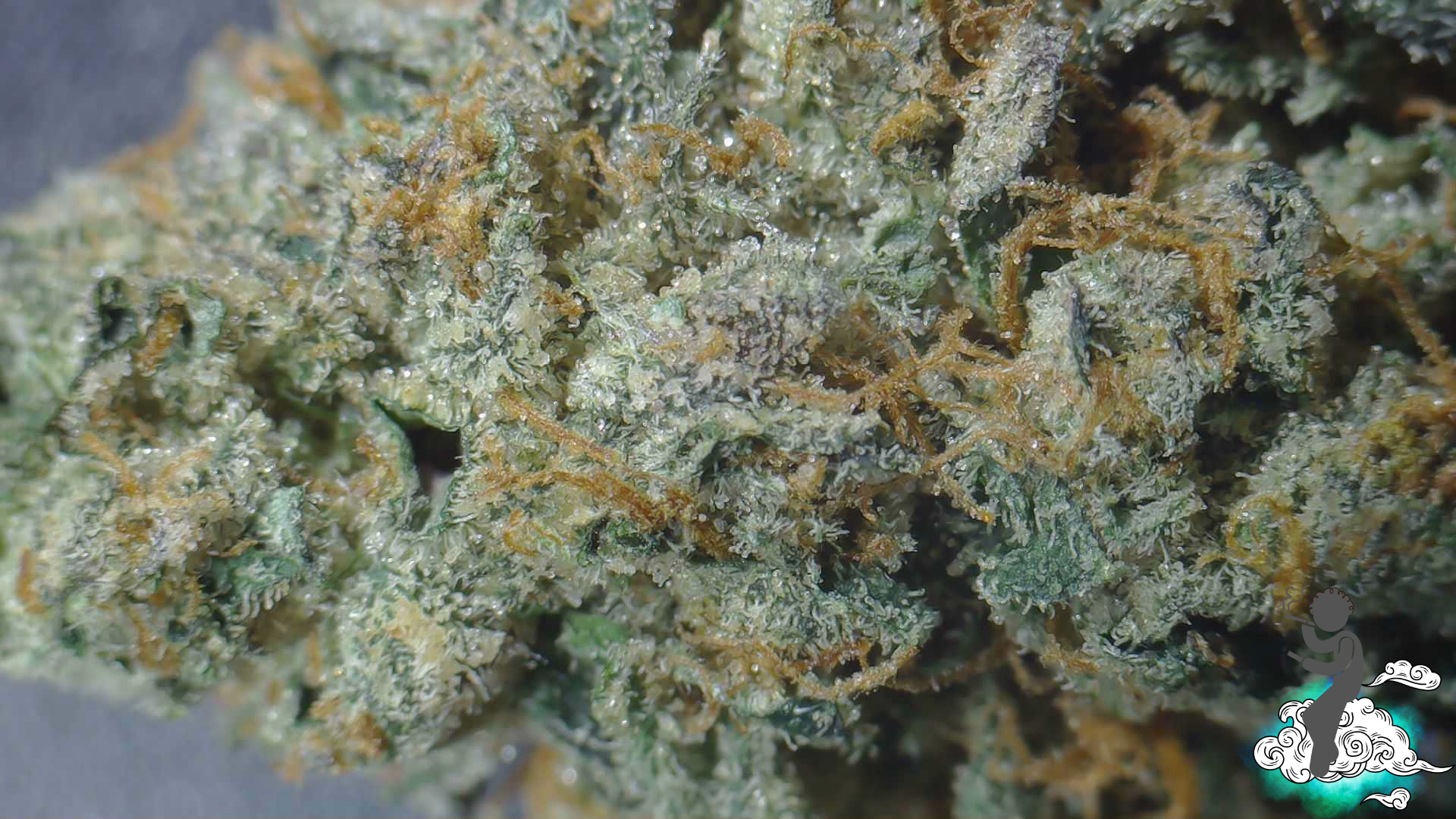 Gelato Cake