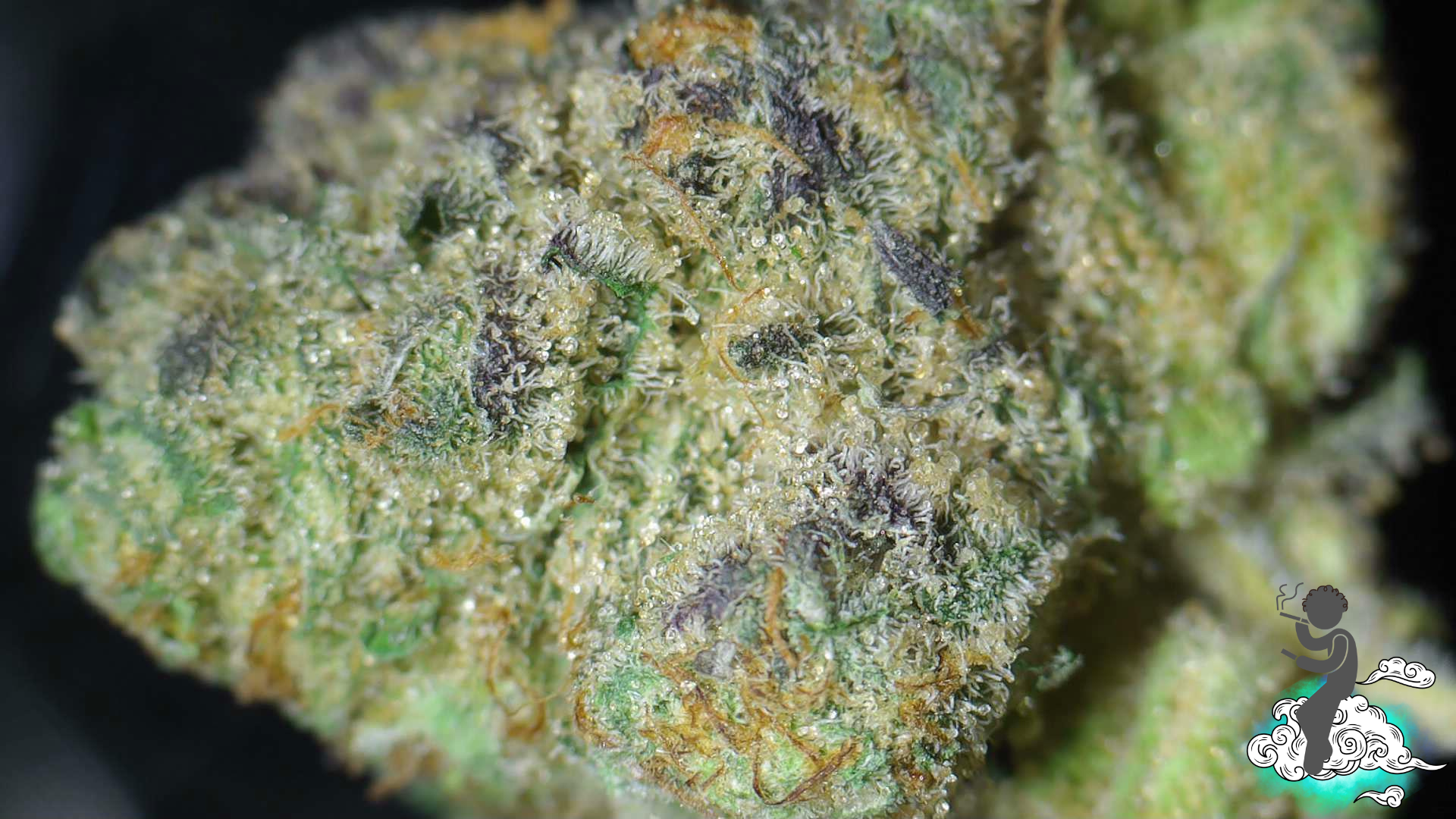 Banana Acai Mints